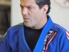 Machado 2007