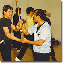 Kali Single/Double Stick Fighting Seminar (Dan Inosanto System), Mt Cook  School, Wellington, November 18 2023