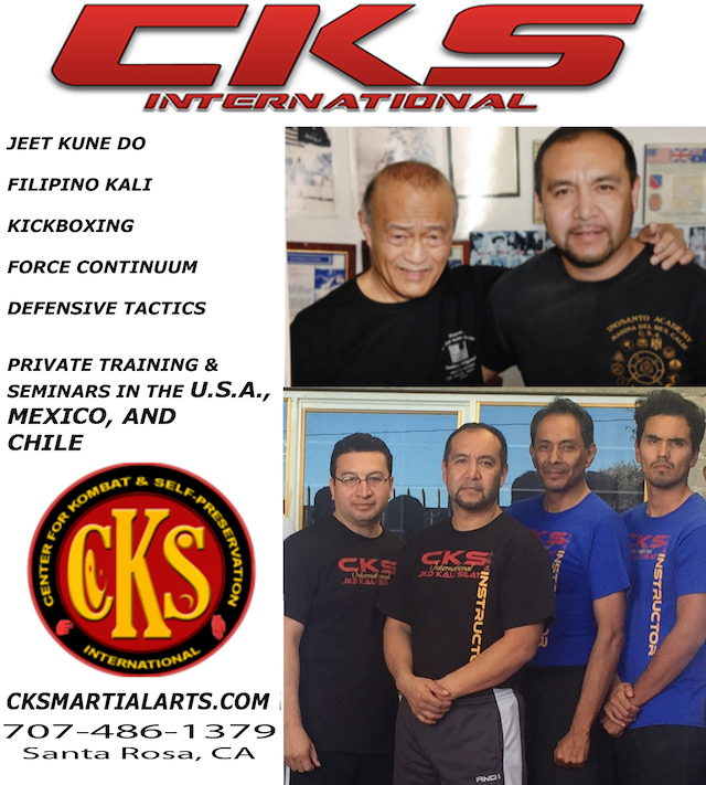 Foundations of MMA Striking Curriculum by Charles Martinez